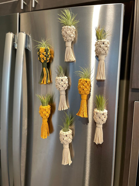 Planter fridge magnets