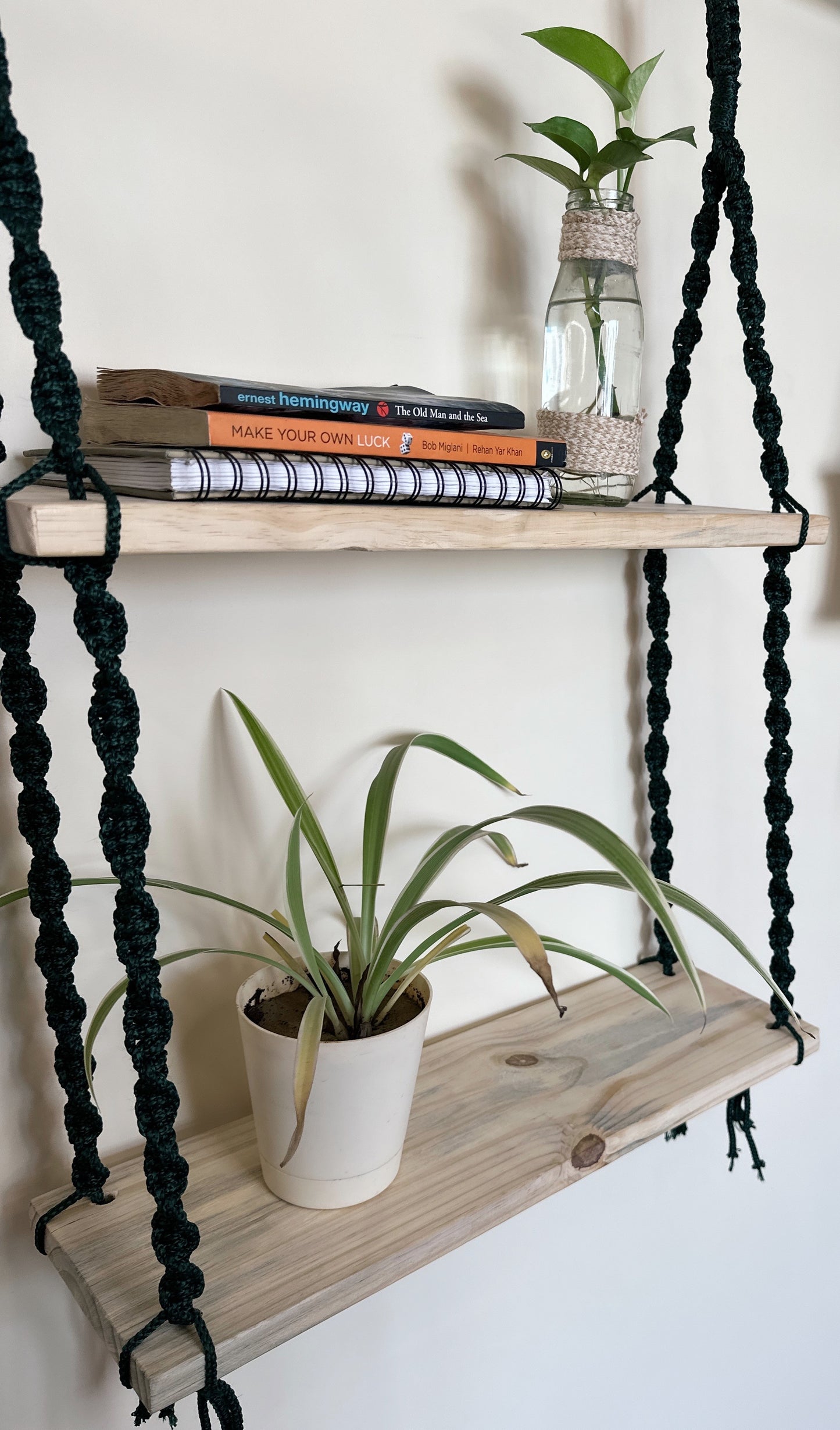 Two Tier Green Hanging Shelf