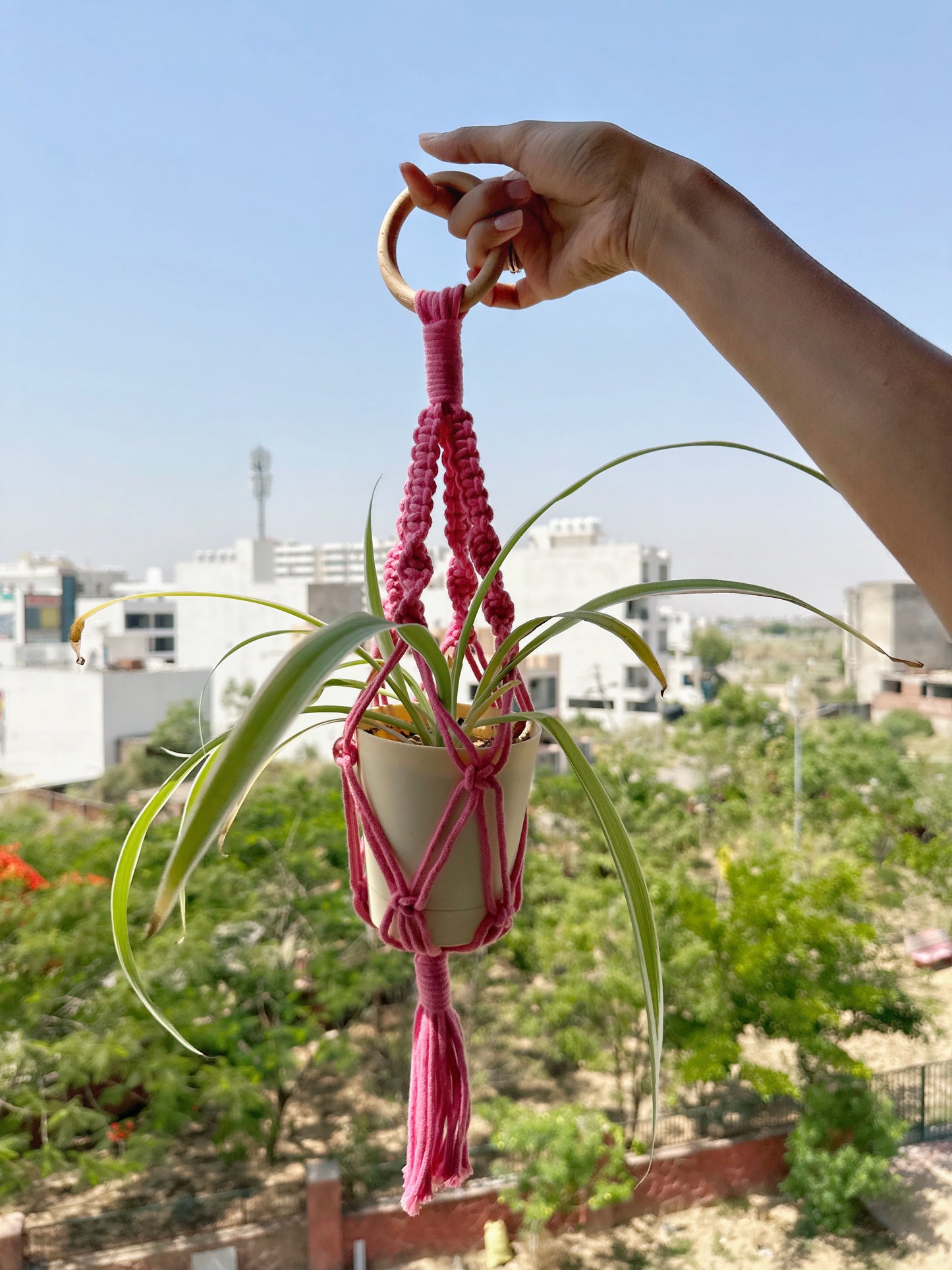 Baby Pink Mini Plant hanger