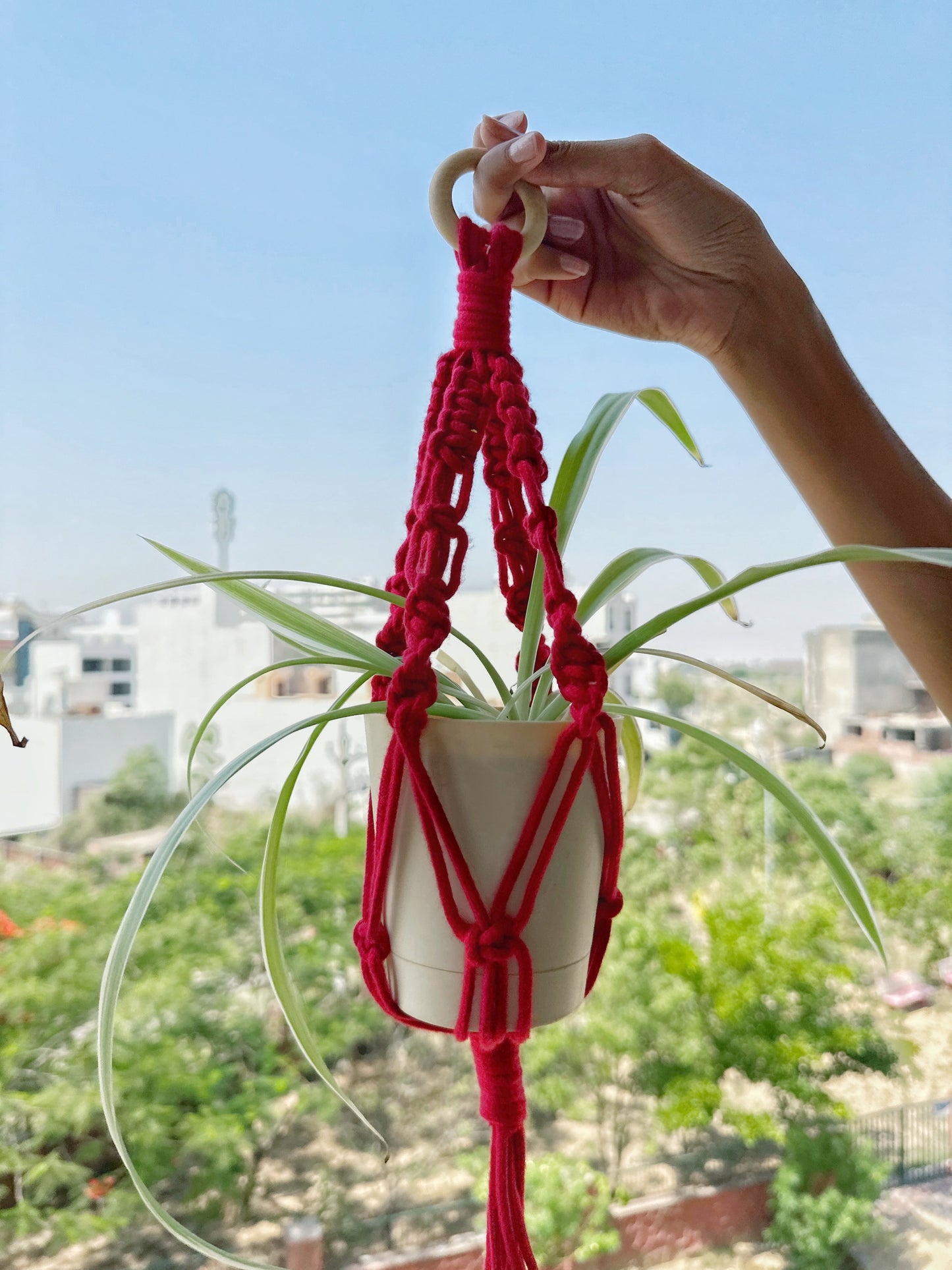 Baby Pink Mini Plant hanger