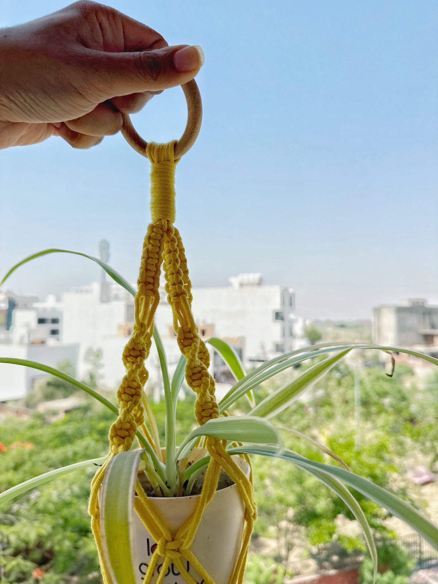 Yellow Mini Plant Hanger