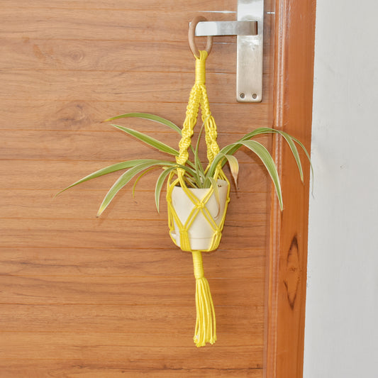 Yellow Mini Plant Hanger