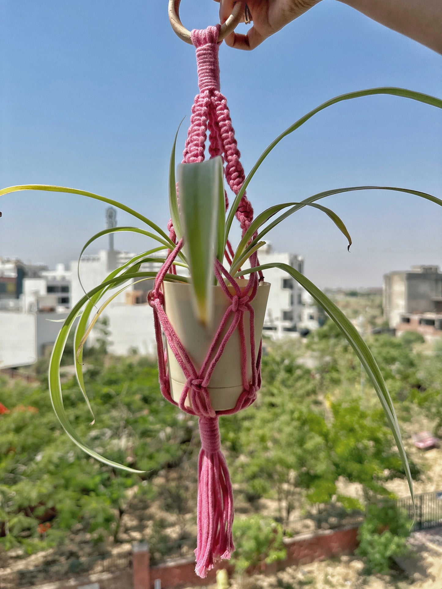 Baby Pink Mini Plant hanger