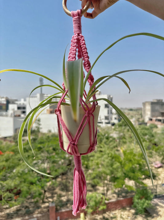 Baby Pink Mini Plant hanger