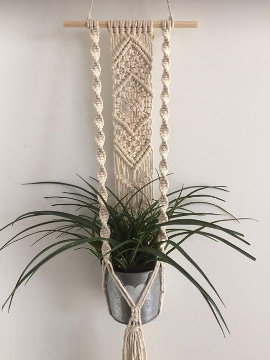 Wall Hanging Plant Hanger